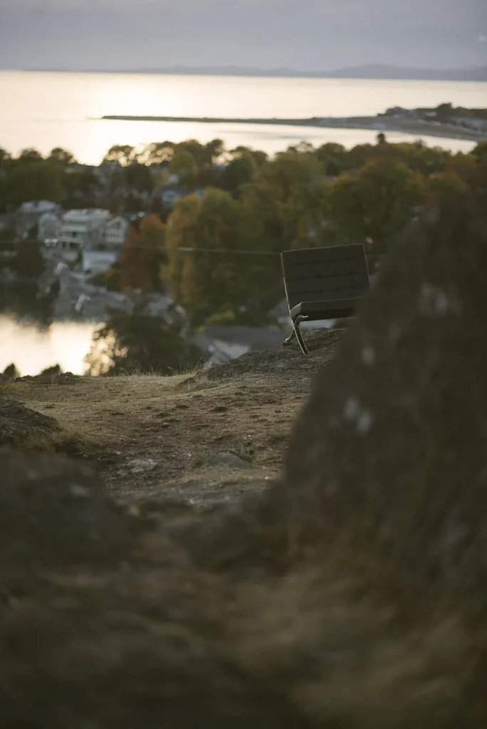 A bench on a hillside overlooking the water and city below